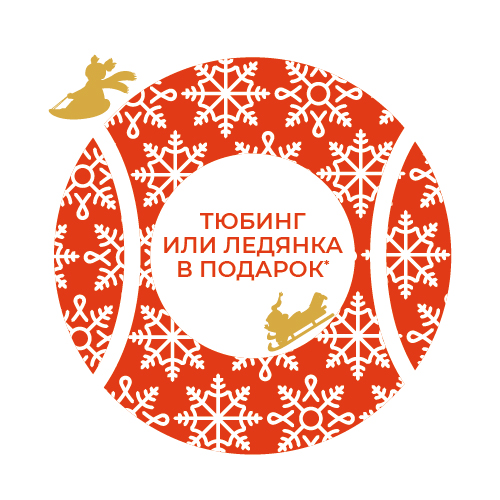 Получите тюбинг или ледянку в подарок!