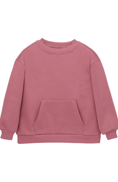 Толстовка на молнии  "Спарки"