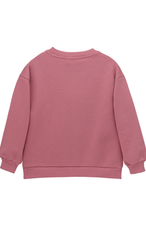 Толстовка на молнии  "Спарки"