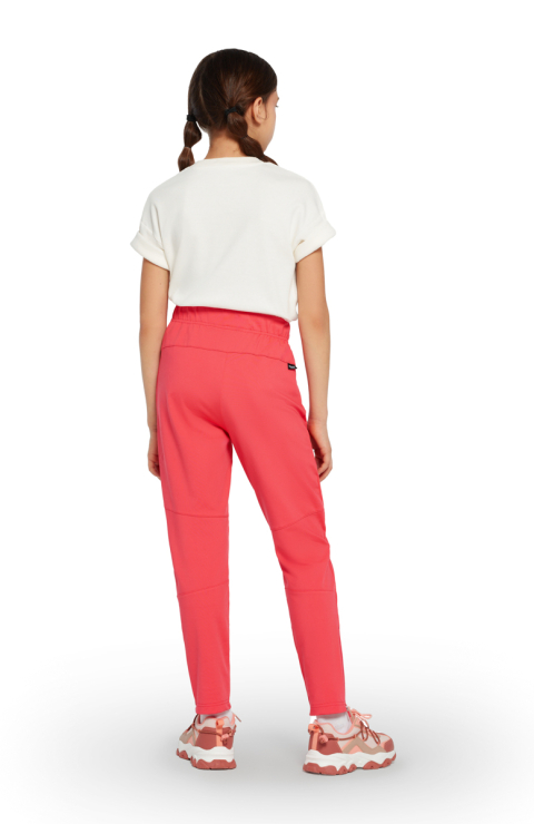 Брюки без утеплителя "Стиг"