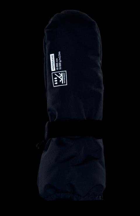 Варежки "Динки"