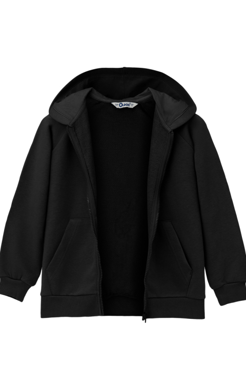 Толстовка на молнии с капюшоном "Тайху"