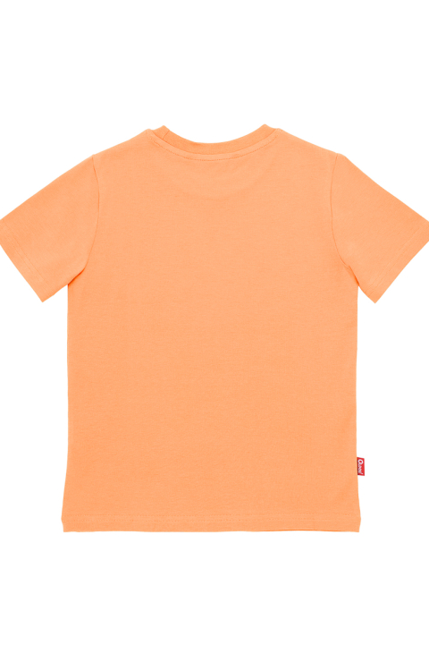 Футболка "Тови"