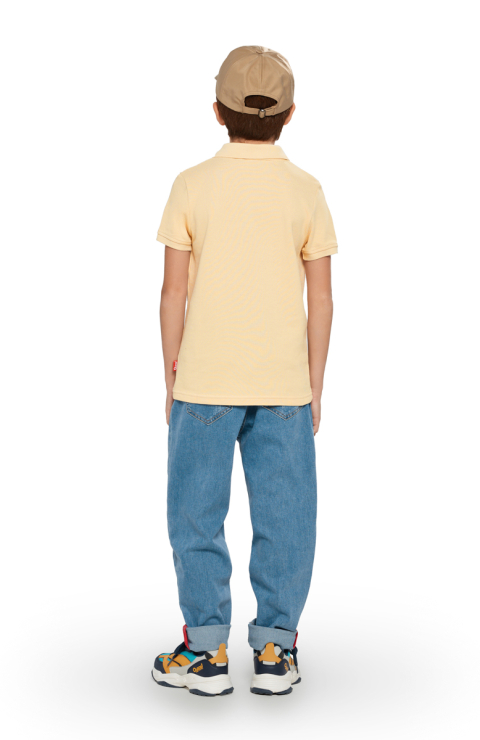 Поло "Свэни"