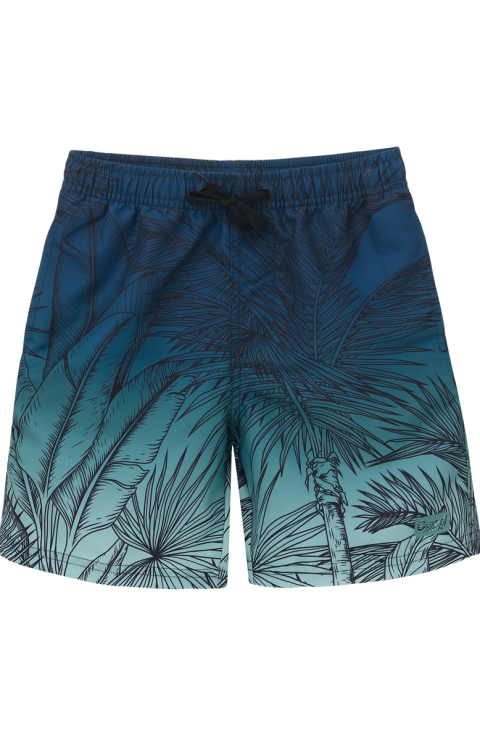 Шорты плавательные "Мик"