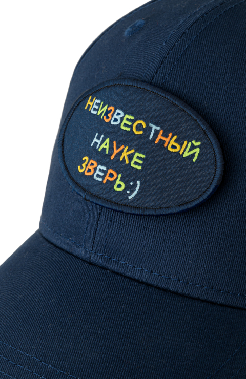 Бейсболка "Фэй"