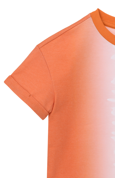 Худи "Фромс"