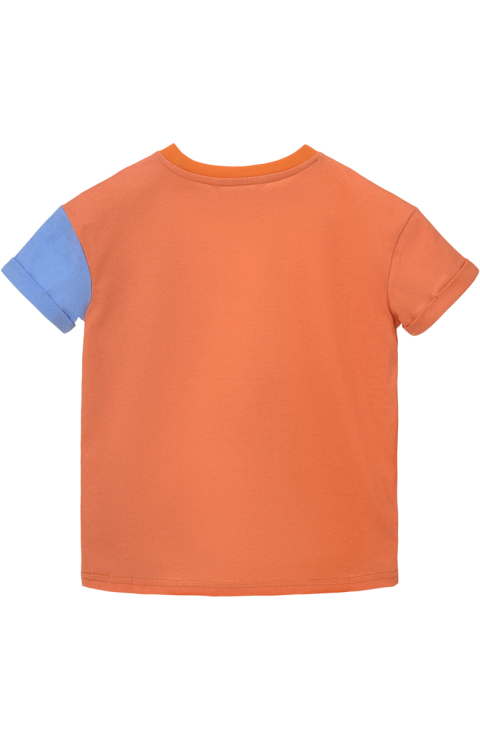 Худи "Фромс"