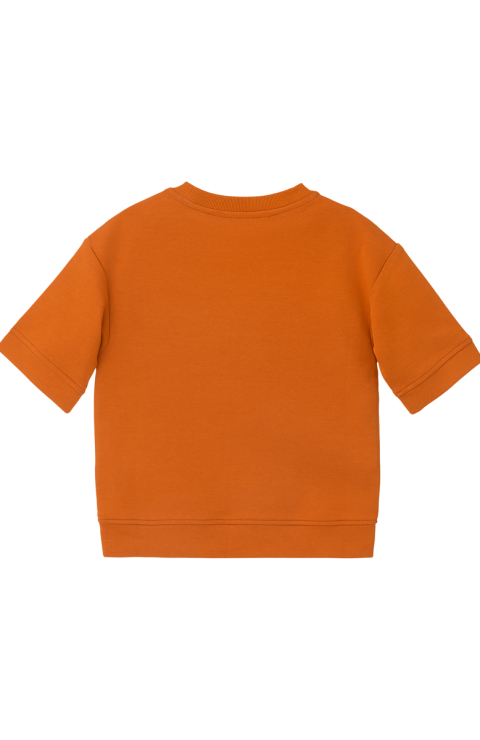 Худи "Сидар"