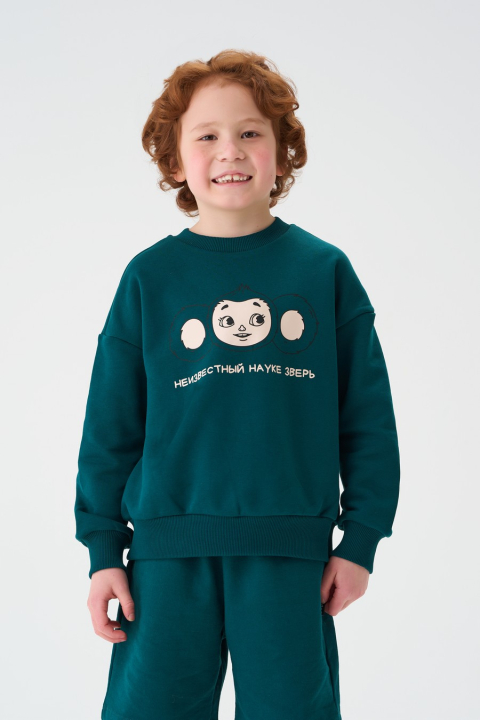 Толстовка "Чана"