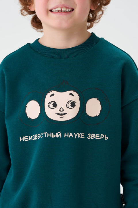 Толстовка "Чана"