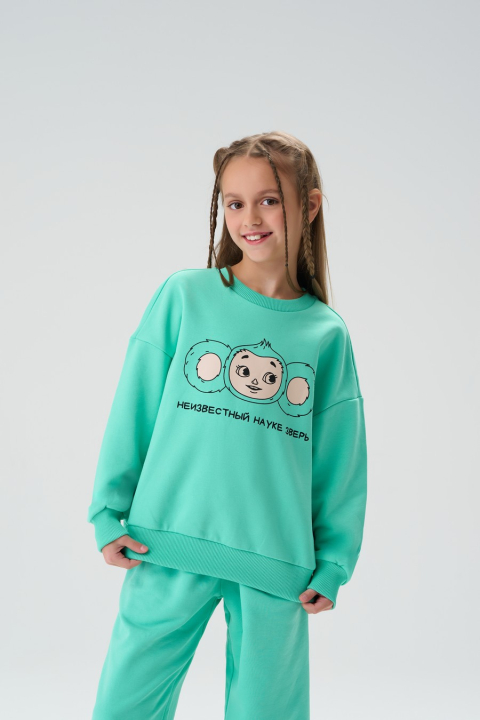 Толстовка "Чана"