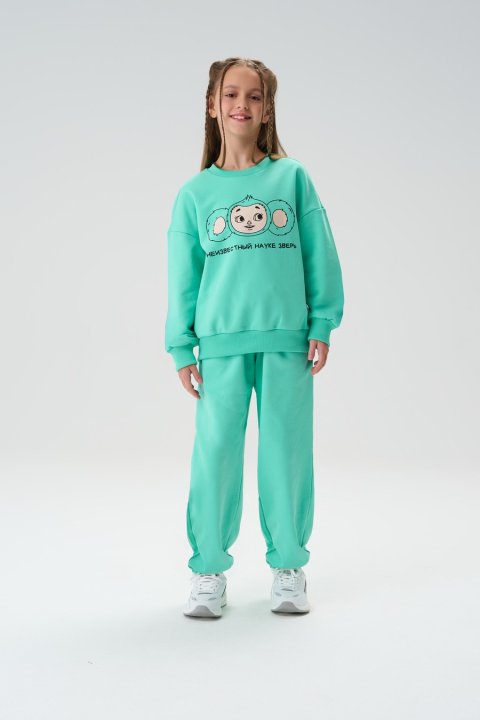 Толстовка "Чана"