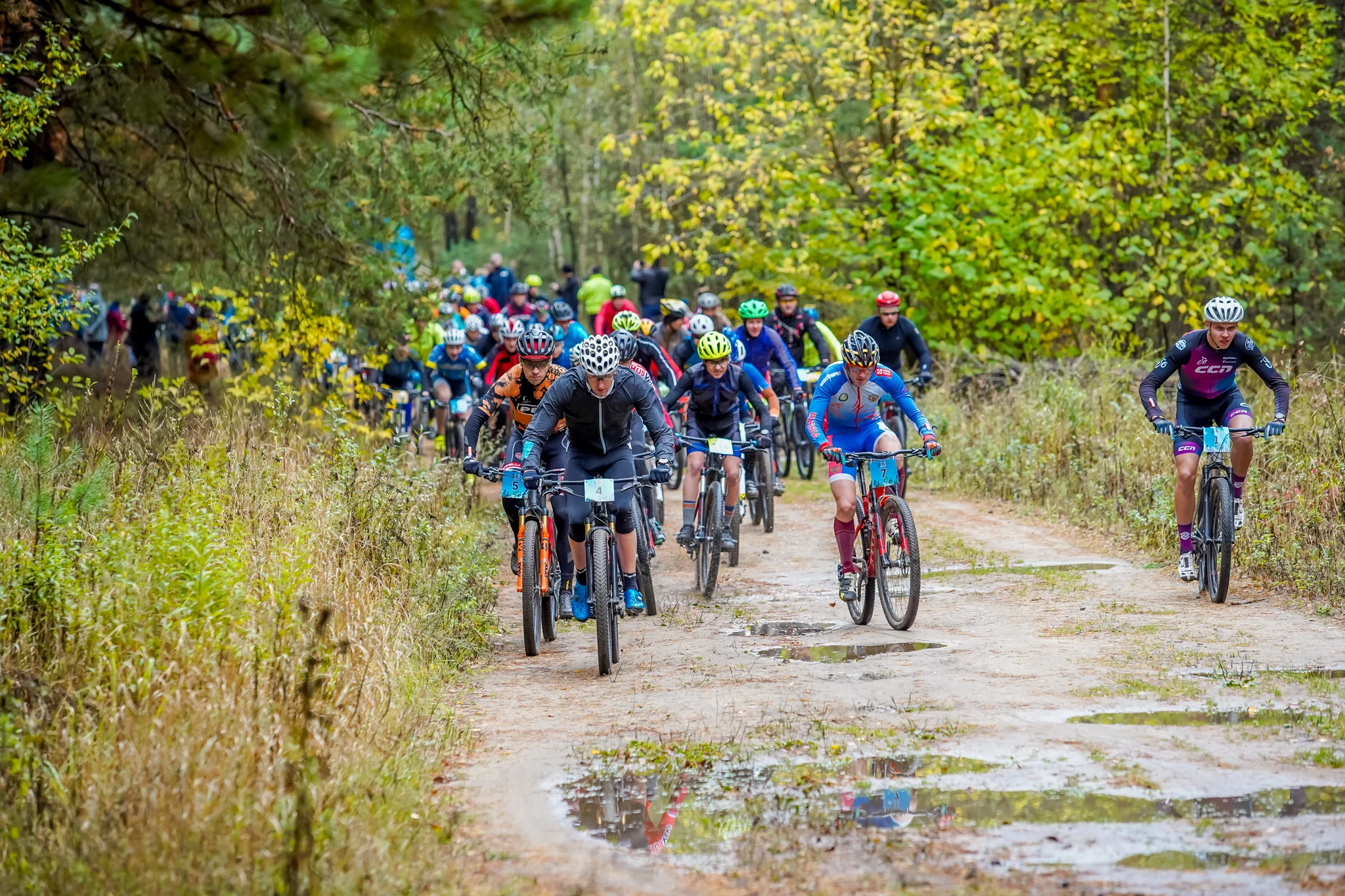 beginner-friendly трасса