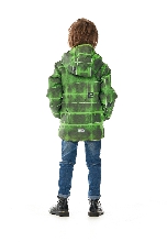 Подробное изображение