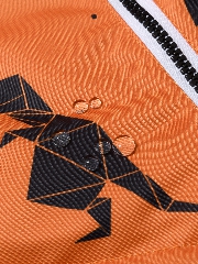 Подробное изображение