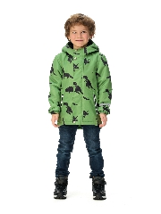 Подробное изображение