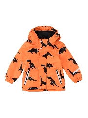 Подробное изображение