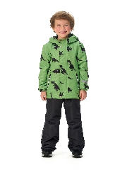 папоротниковый черный