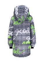 Подробное изображение