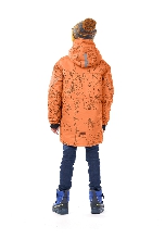 Подробное изображение