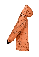 Подробное изображение