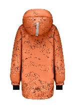 Подробное изображение