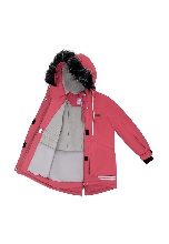 Подробное изображение