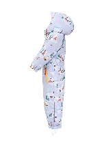 Подробное изображение