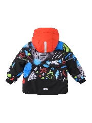 Подробное изображение