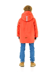 Подробное изображение