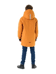 Подробное изображение