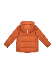 Подробное изображение