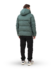 Подробное изображение