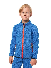 васильковый