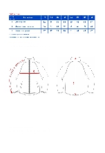 Таблица размеров одежды