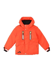 Подробное изображение