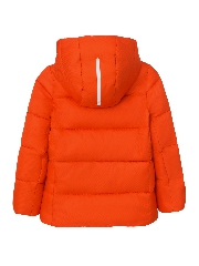 Подробное изображение