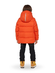 Подробное изображение