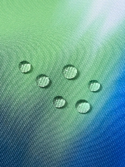 Подробное изображение