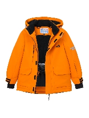 Подробное изображение