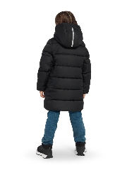 Подробное изображение