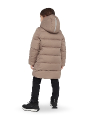 Подробное изображение