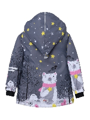 Подробное изображение