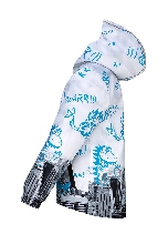 Подробное изображение