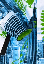 Подробное изображение