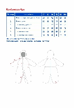 Таблица размеров одежды