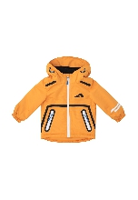 Подробное изображение