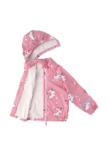 Подробное изображение