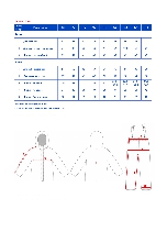 Таблица размеров одежды